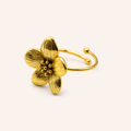Baue ajustable - Liana